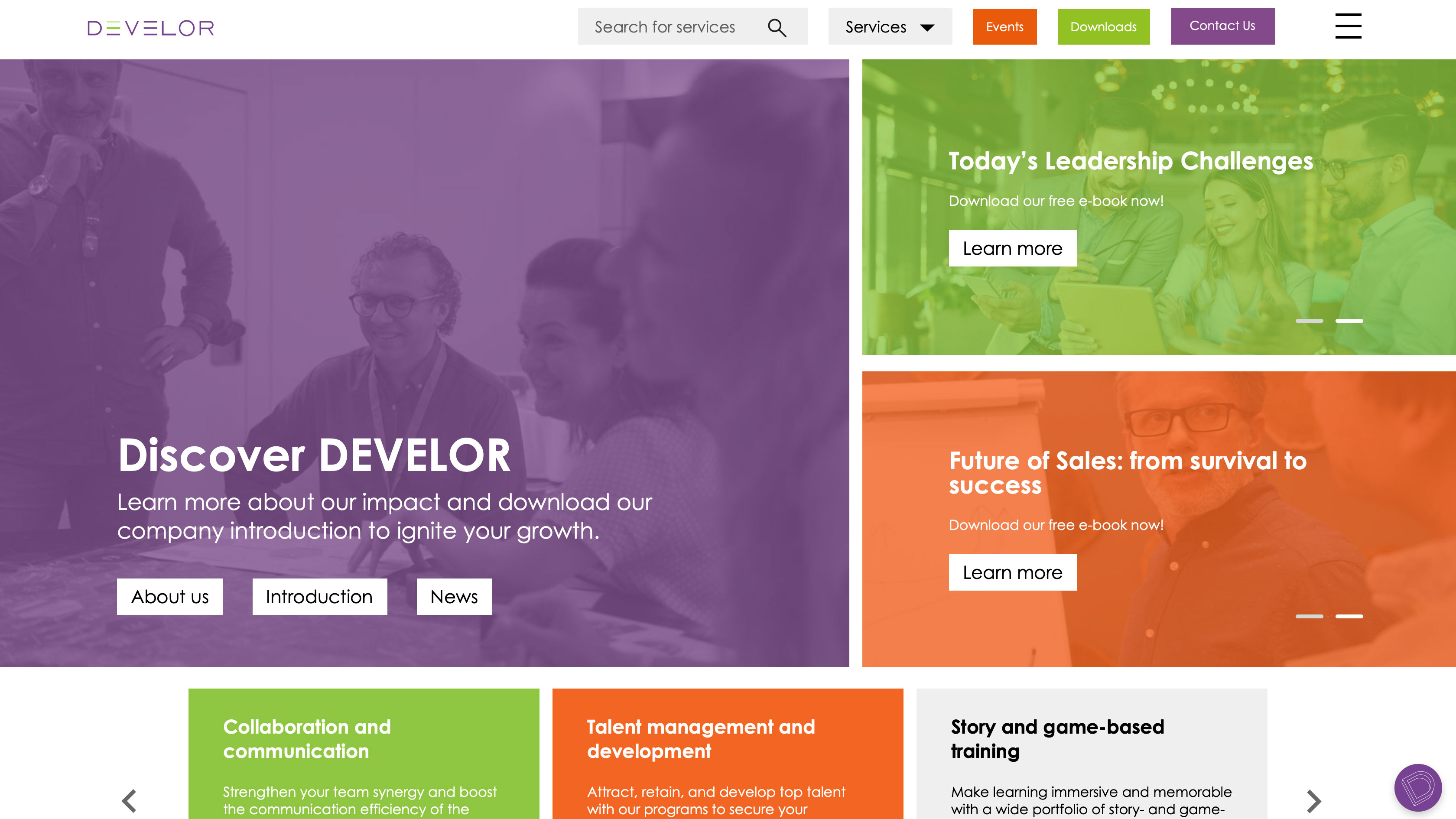 Develor medzinárodné online kampane
